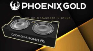 Phoenix Gold ZX210PBS 700W Max Power | 2 x 10-Inch Slim Passive Subwoofer Box